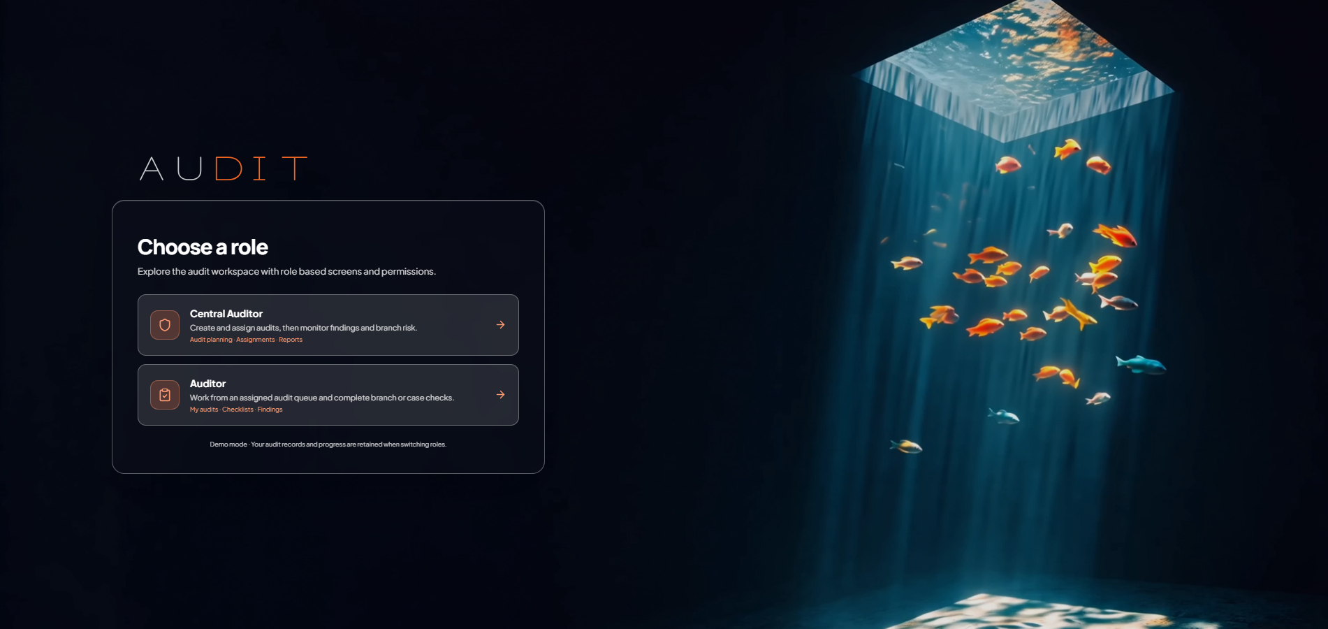 Bank Audit Module live project preview